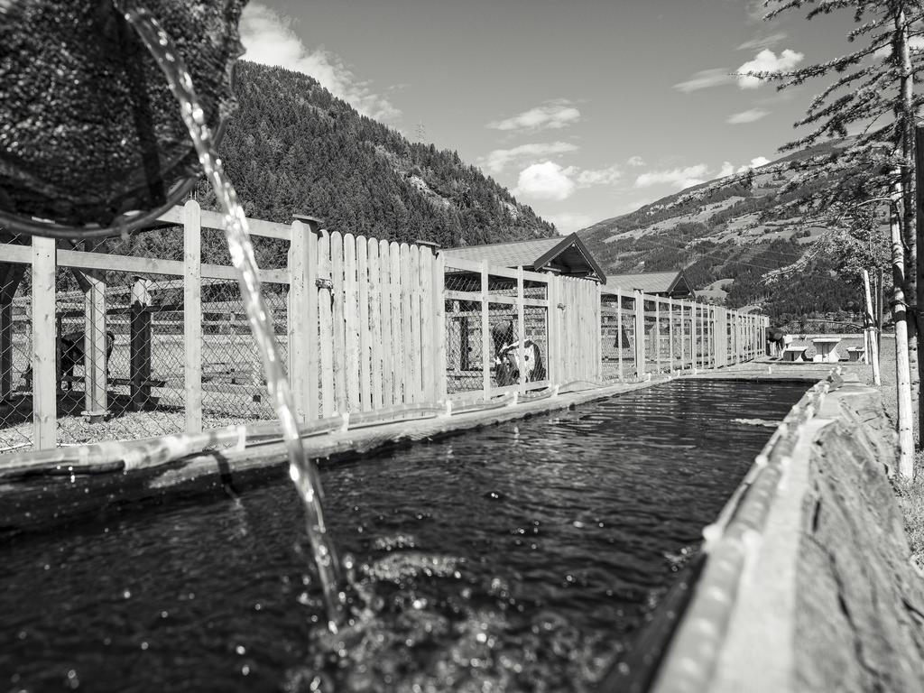 Sonnenau